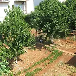 Tihi Apartment